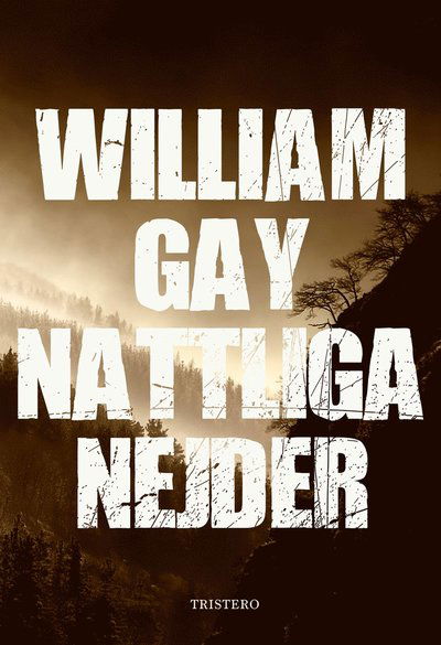 Cover for William  Gay · Nattliga nejder (Paperback Book) (2021)