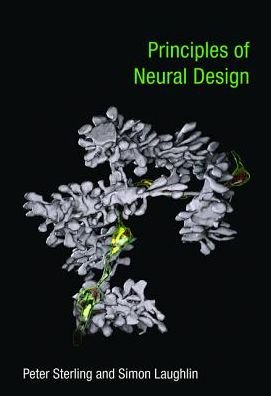 Cover for Peter Sterling · Principles of Neural Design - The MIT Press (Paperback Bog) (2017)