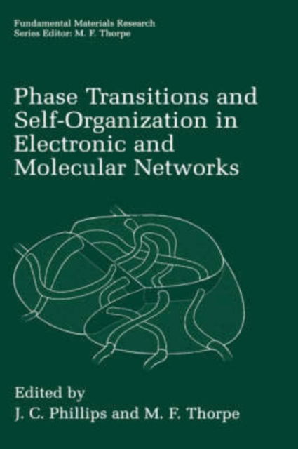 Cover for J C Phillips · Phase Transitions and Self-Organization in Electronic and Molecular Networks - Fundamental Materials Research (Hardcover Book) [2001 edition] (2001)