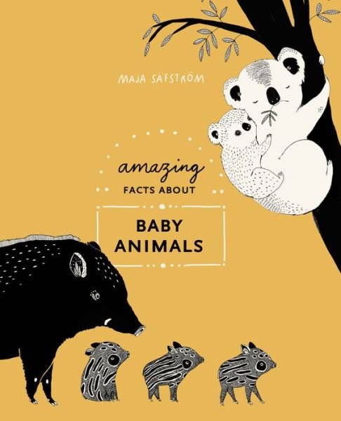 Cover for Maja Säfström · Amazing Facts About Baby Animals (Bound Book) (2019)