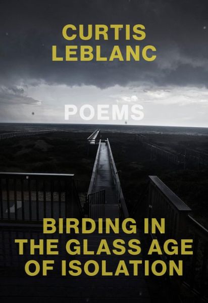 Cover for Curtis LeBlanc · Birding in the Glass Age of Isolation (Paperback Book) (2020)