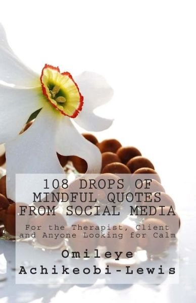 Cover for Omileye E Achikeobi-lewis · 108 Drops of Mindful Quotes from Social Media: for the Therapist, Client and Anyone Looking for Calm (Paperback Book) (2014)