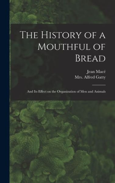 Cover for Jean 1815-1894 Mace · The History of a Mouthful of Bread (Hardcover bog) (2021)