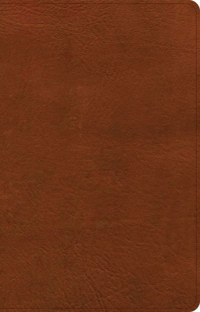 Cover for Csb Bibles By Holman · CSB Thinline Bible, Burnt Sienna LeatherTouch (Läderbok) (2022)