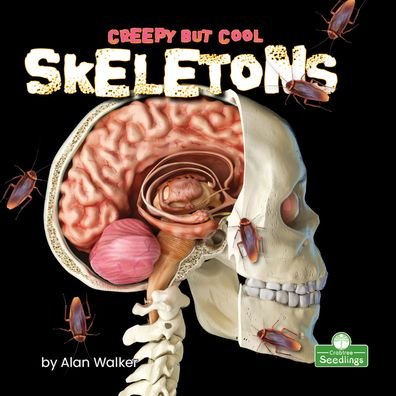 Cover for Alan Walker · Creepy But Cool Skeletons (Hardcover bog) (2021)