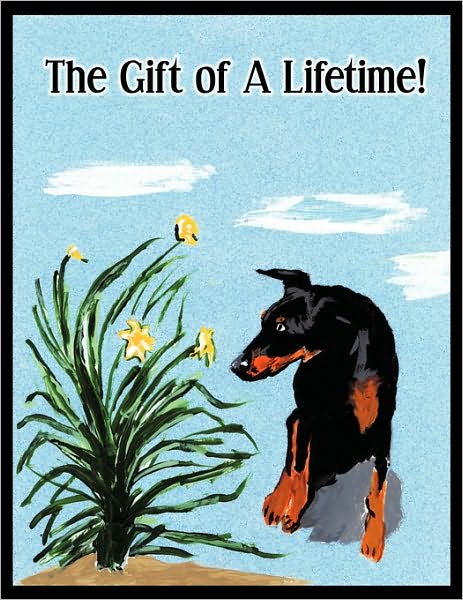 Cover for Moose Aunty Moose · The Gift of a Lifetime (Paperback Book) (2009)