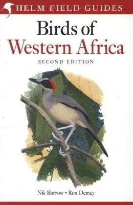 Cover for Nik Borrow · Field Guide to Birds of Western Africa: 2nd Edition - Helm Field Guides (Paperback Book) (2014)