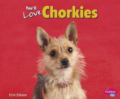 Cover for Erin Edison · You'll Love Chorkies (Favorite Designer Dogs) (Hardcover Book) (2014)