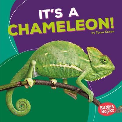 It's a Chameleon! - Tessa Kenan - Books - Lerner Publishing Group - 9781512425680 - 2017