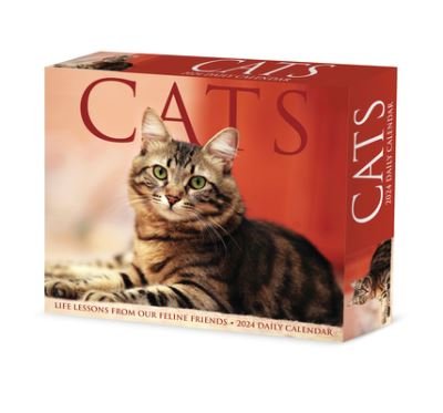 Cover for Willow Creek Press · Cats 2024 6.2 X 5.4 Box Calendar (Kalender) (2023)