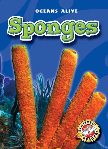 Cover for Colleen Sexton · Sponges (Blastoff! Readers: Oceans Alive) (Hardcover Book) (2009)