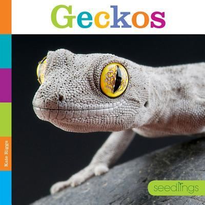 Cover for Kate Riggs · Geckos (Hardcover Book) (2017)