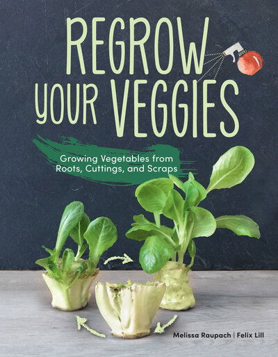 Cover for Melissa Raupach · Regrow Your Veggies: Growing Vegetables from Roots, Cuttings, and Scraps (Paperback Book) (2020)