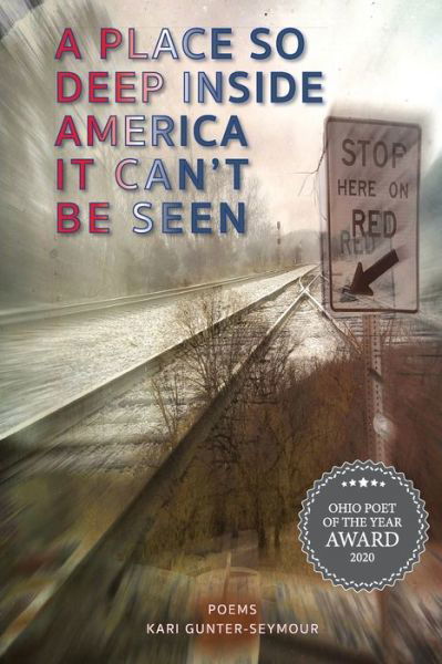 Cover for Kari Gunter-Seymour · A Place So Deep Inside America It Can't Be Seen (Pocketbok) (2020)