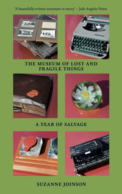 Cover for Suzanne Joinson · The Museum of Lost and Fragile Things: A Year of Salvage (Pocketbok) (2024)