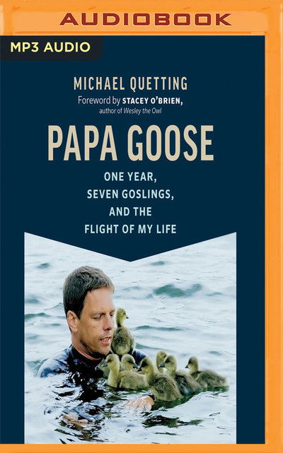 Cover for Michael Quetting · Papa Goose (Audiobook (CD)) (2019)