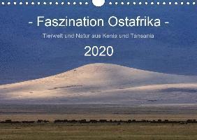 Cover for Schänzer · Faszination Ostafrika - Tierwe (Book)