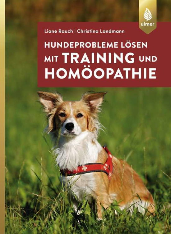 Cover for Rauch · Hundeprobleme lösen mit Training (Book)