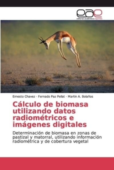 Cálculo de biomasa utilizando da - Chávez - Books -  - 9786200017680 - July 1, 2019