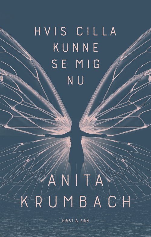 Cover for Anita Krumbach · Hvis Cilla kunne se mig nu (Sewn Spine Book) [1th edição] (2019)