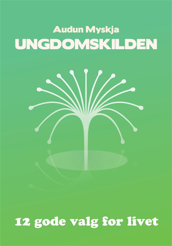Cover for Audun Myskja · Ungdomskilden (Heftet bok) [1. utgave] (2023)