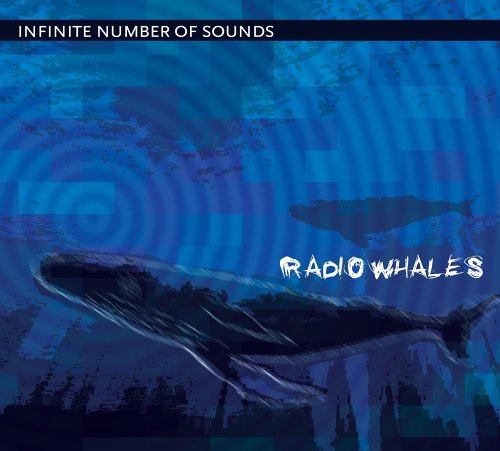 Radio Whales - Infinite Number of Sounds - Musik - Ins Rec Co - 0837101074681 - 30. august 2005