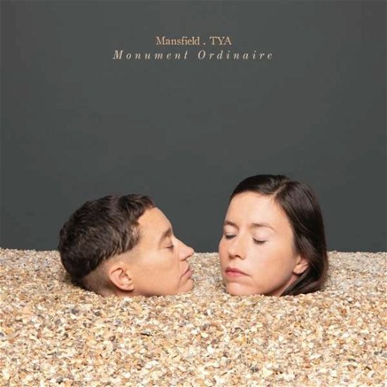 Cover for Mansfield Tya · Monument Ordinaire (LP) (2021)