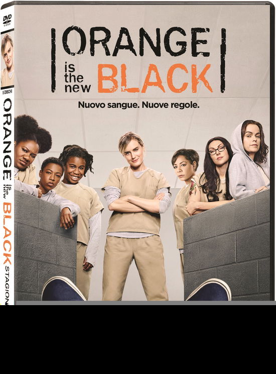 Cover for Orange Is The New Black · Stagione 4 (DVD)