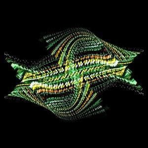 Zen Brakes Vol. 2 - Bogus Order - Music - AHEAD OF OUR TIME - 5054429118681 - July 14, 2017
