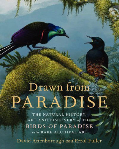 Drawn from Paradise: The Natural History, Art and Discovery of the Birds of Paradise with Rare Archival Art - David Attenborough - Libros - HarperCollins - 9780062234681 - 2 de octubre de 2012