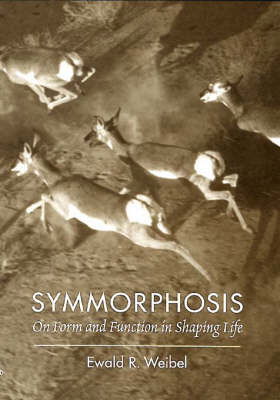 Cover for Ewald R. Weibel · Symmorphosis: On Form and Function in Shaping Life (Inbunden Bok) (2000)