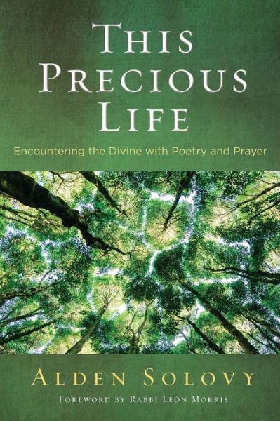 Cover for Alden Solovy · This Precious Life (Paperback Book) (2020)