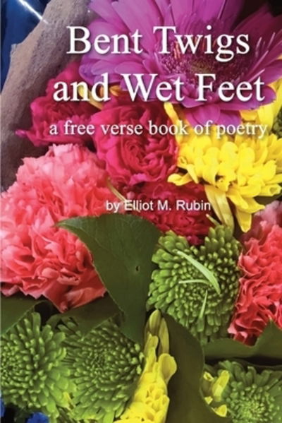 Cover for Elliot M Rubin · Bent Twigs and Wet Feet (Paperback Book) (2019)