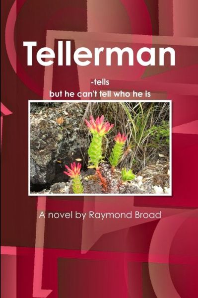 Cover for Raymond Broad · Tellerman (Book) (2014)