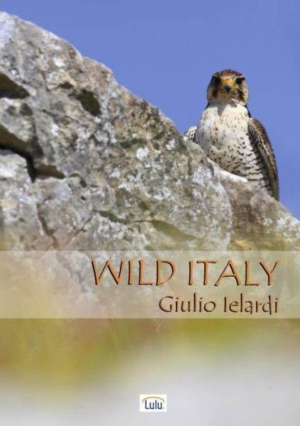Cover for Giulio Ielardi · Wild Italy (Bog) (2011)