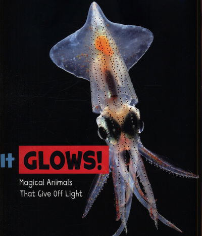 Cover for Potts, Nikki (Digital Assoc. Editor) · It Glows!: Magical Animals That Give Off Light - Magical Animals (Taschenbuch) (2019)