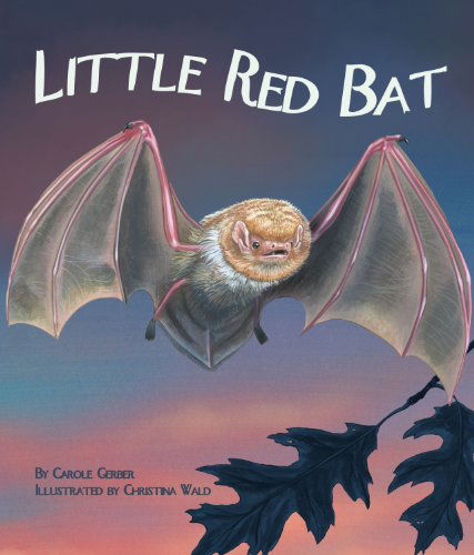 Cover for Carole Gerber · Little Red Bat (Paperback Book) (2010)