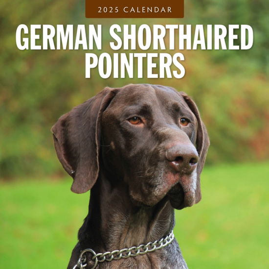 Red Robin · German Shorthaired Pointers 2025 Square Wall Calendar (Paperback Book) (2024)