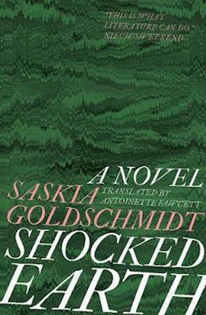 Cover for Saskia Goldschmidt · Shocked Earth (Paperback Book) (2021)