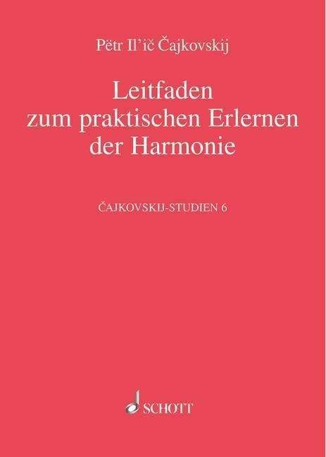 Cover for Tschaikowsky · Leitfaden zum praktischen (Bog)
