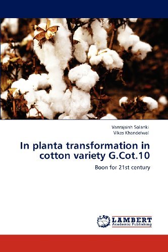 Cover for Vikas Khandelwal · In Planta Transformation in Cotton Variety  G.cot.10: Boon for 21st Century (Pocketbok) (2012)