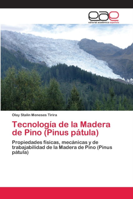 Cover for Olay Stalin Meneses Tirira · Tecnologia de la Madera de Pino (Pinus patula) (Paperback Book) (2014)