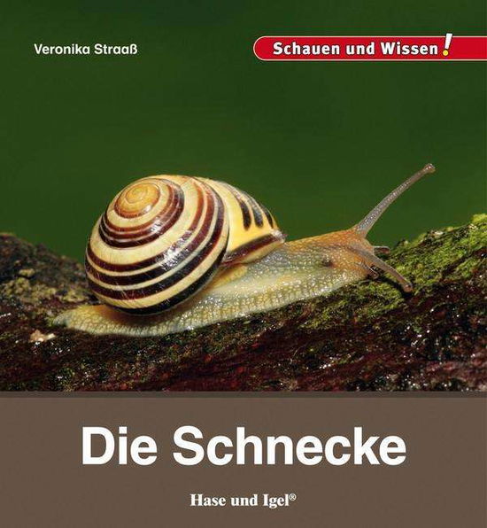 Cover for Straaß · Die Schnecke (Buch)