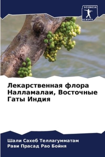 Cover for ???? ? ????????????? · ????????????? ????? ??????????, ???????? (Paperback Bog) (2021)