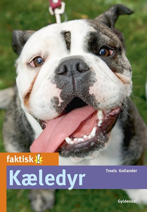 Faktisk!: Kæledyr - Troels Gollander - Livres - Gyldendal - 9788702093681 - 20 juin 2011