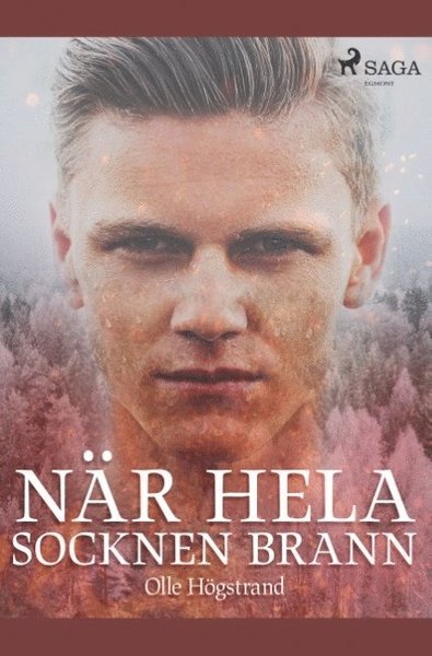 Cover for Olle Högstrand · När hela socknen brann (Bok) (2019)