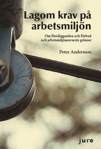 Cover for Peter Andersson · Lagom krav på arbetsmiljö – Om förelägganden och förbud och arbetsmiljöansvarets gränser (Paperback Book) [Ned edition] (2019)