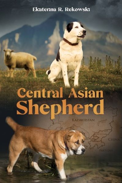 Cover for Ekaterina R Rekowski · Central Asian Shepherd (Paperback Book) (2020)