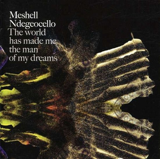 World Has Made Me the Man of My Dreams - Meshell Ndegeocello - Musik - Emarcy / PGD - 0600753018682 - 25. september 2007