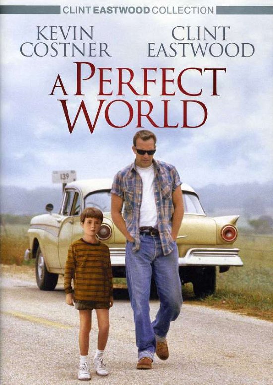 Cover for Perfect World (DVD) (2010)